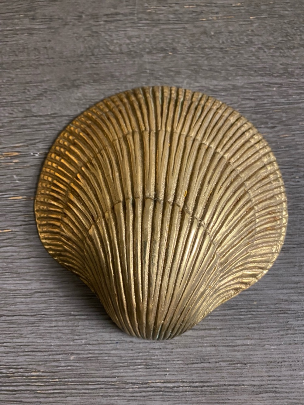 Decorative Brass Seashell Accent
